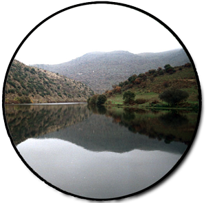 22-FOZ-COA_CIRCLE